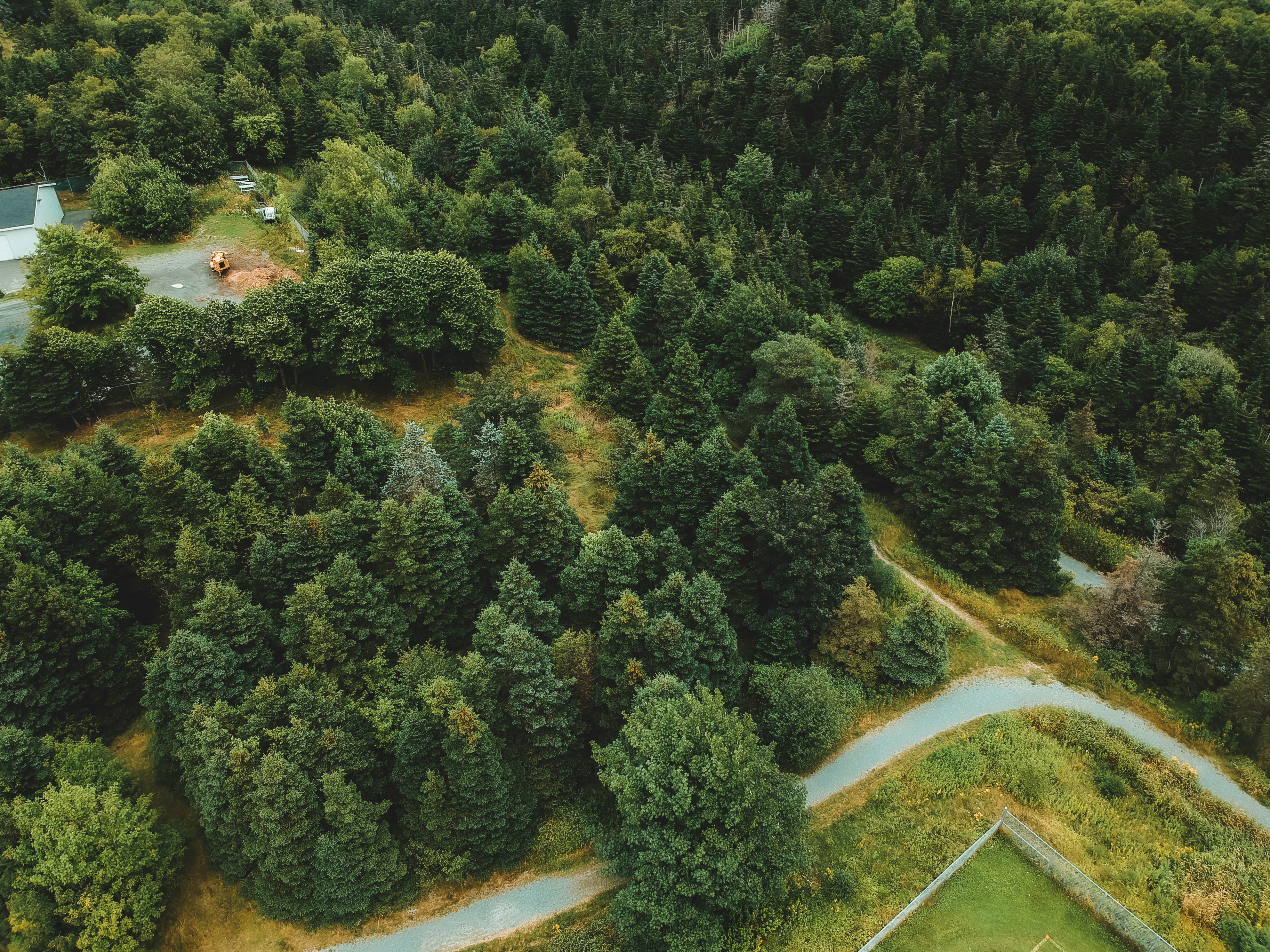 Photo by introspectivedsgn