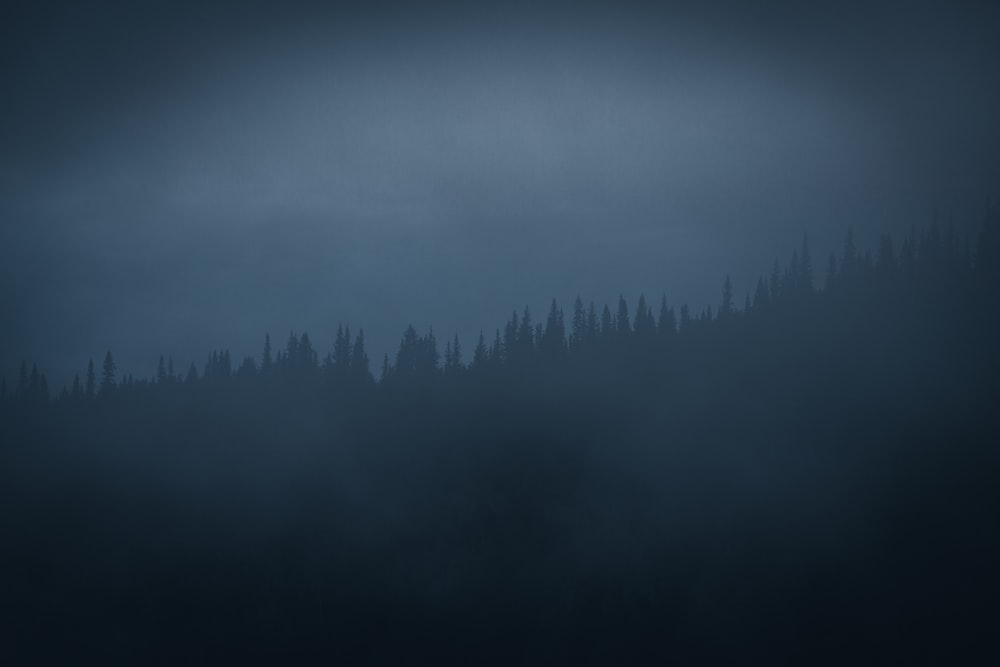 foggy mountain at daytime