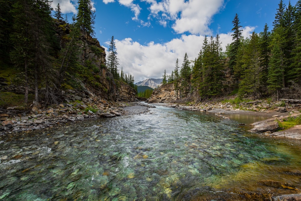 calm water photo