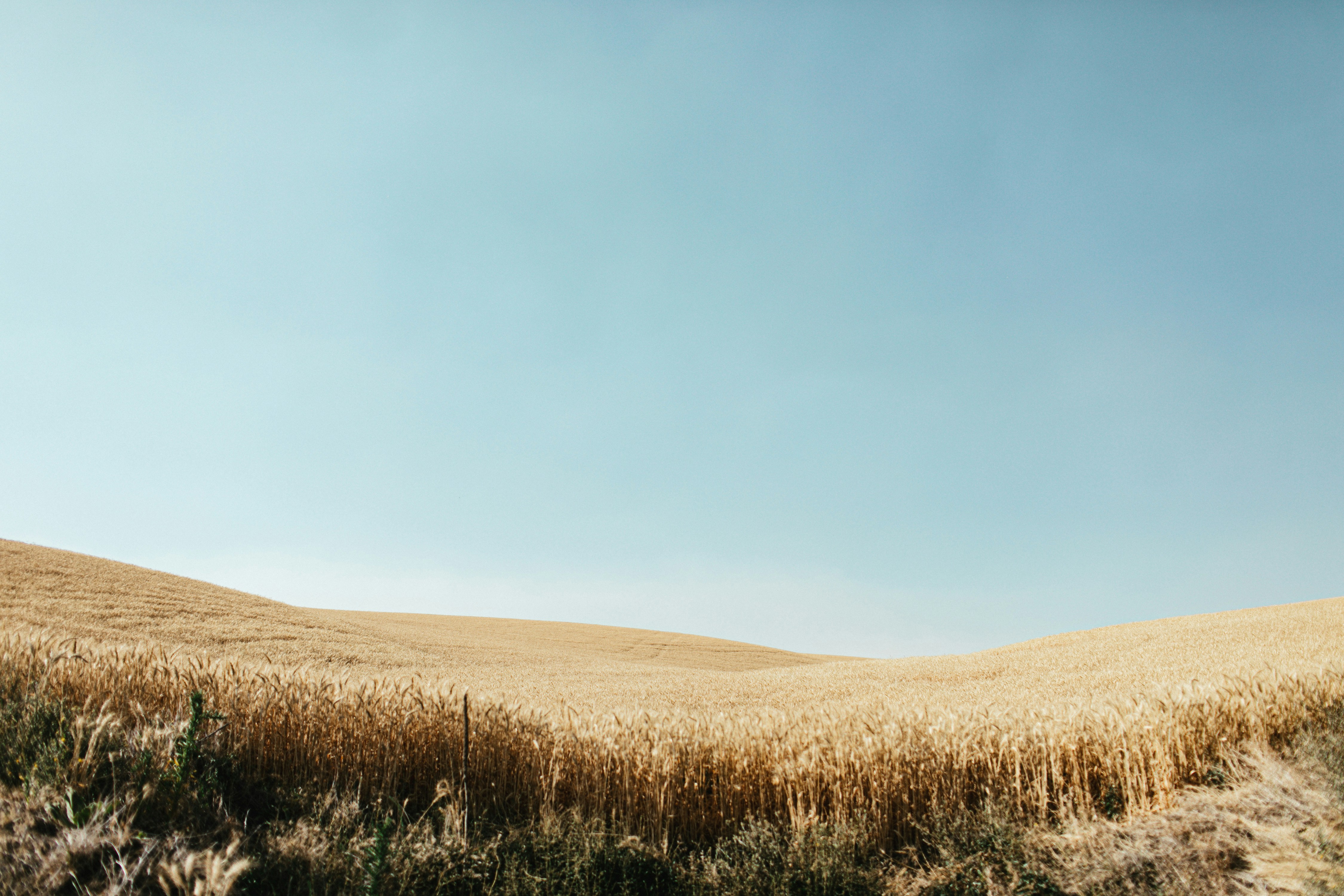 Photo by ampersand_studios