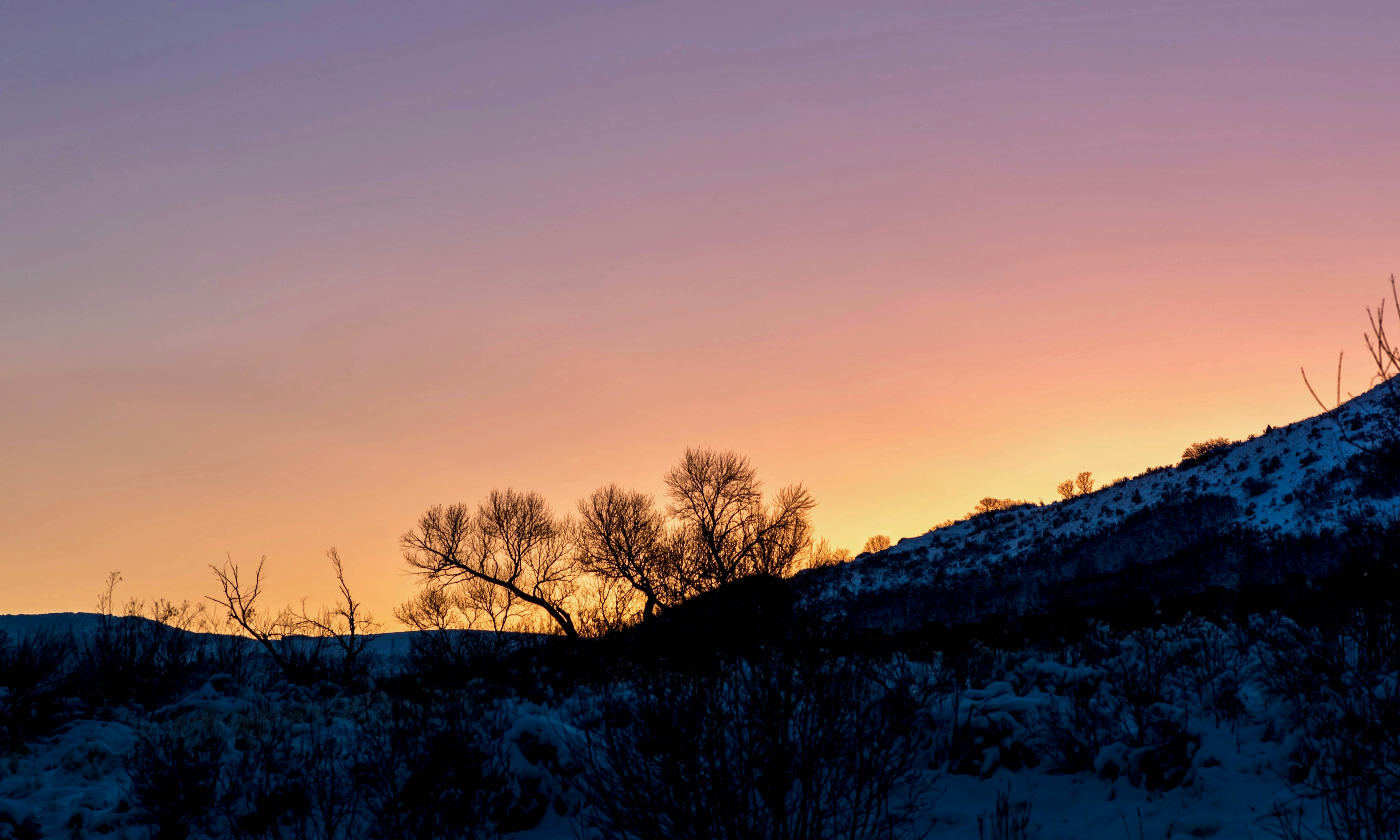 Photo by kalaniparker