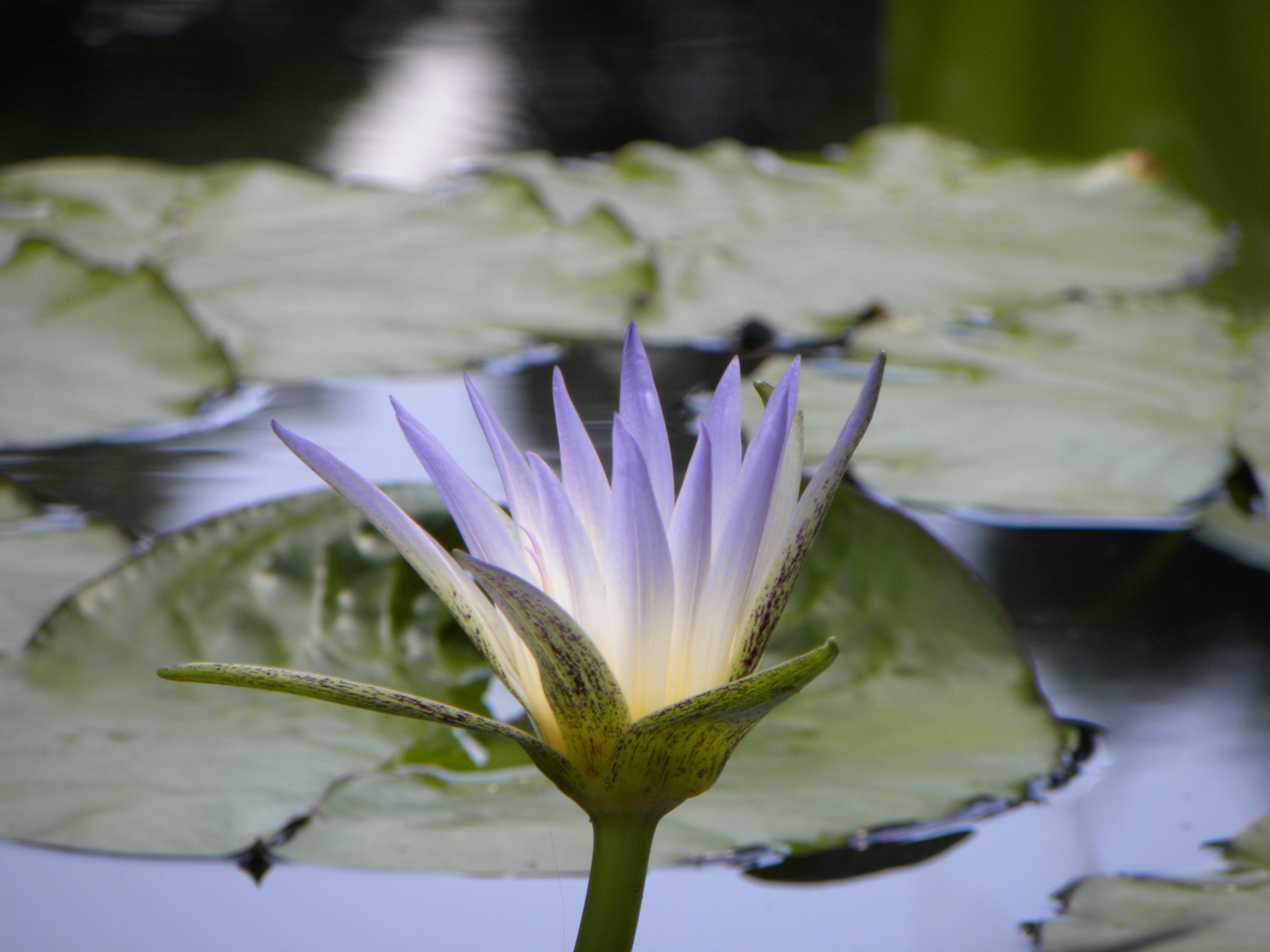 Photo by clairemarlow06