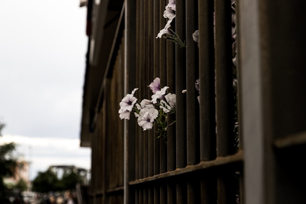 white flowers