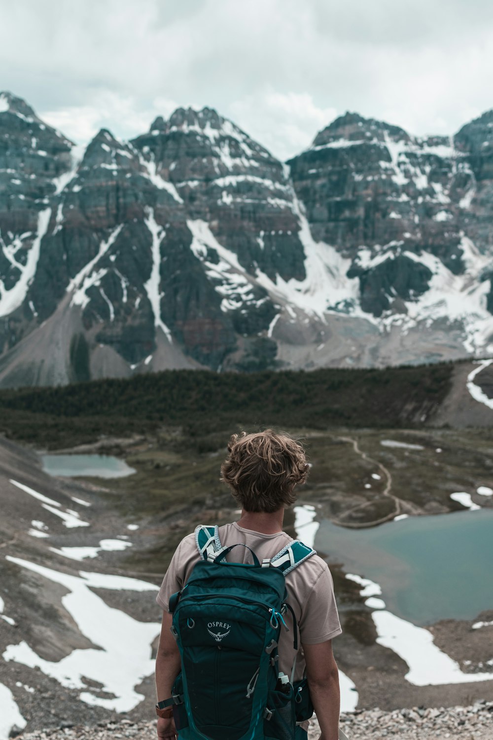 man standing and facing the mountains and field during day