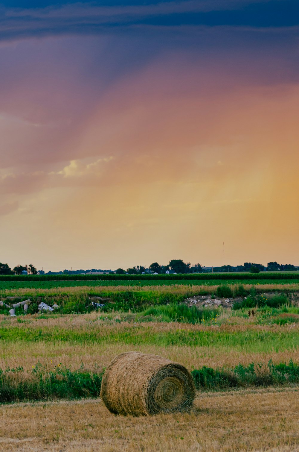 round bale on farmlands