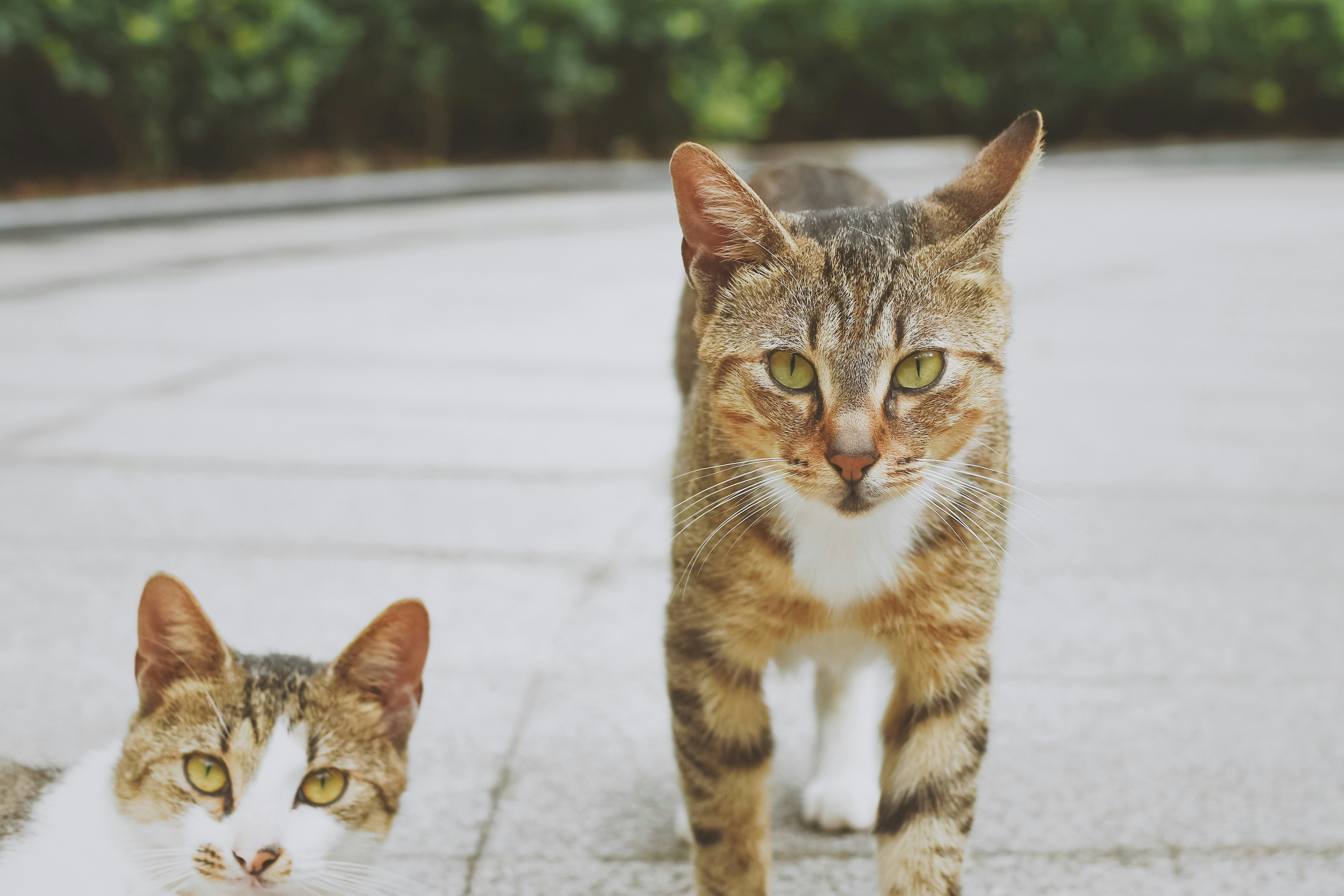 Photo by jizhidexiaohailang