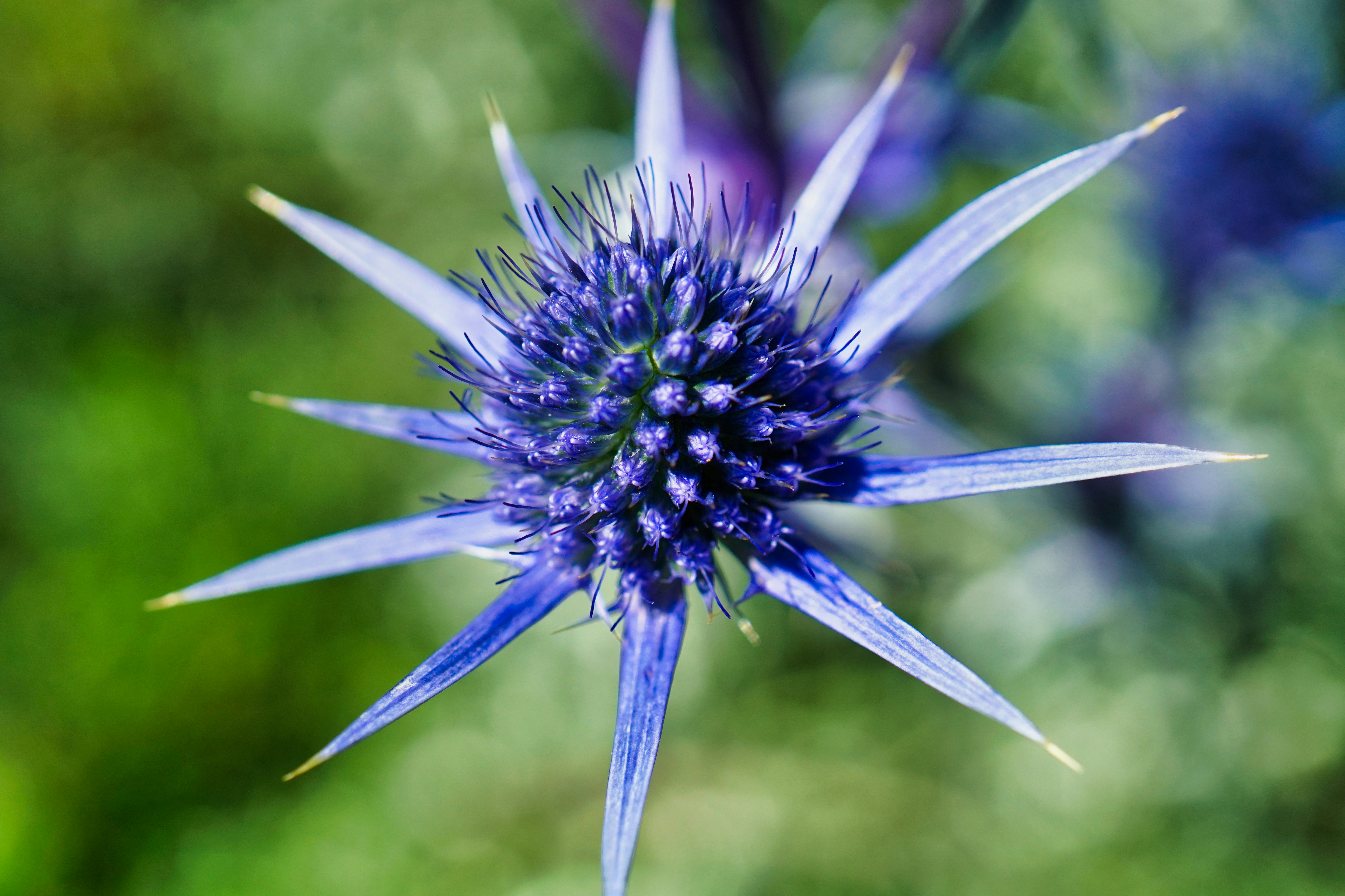 Photo by walter_verna