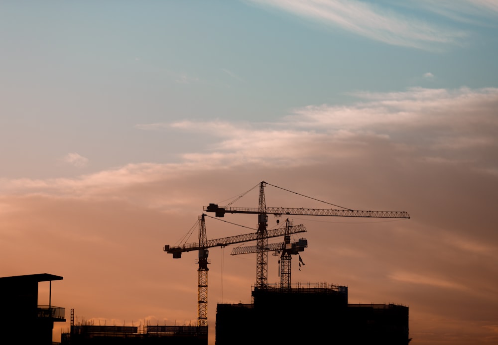 three tower cranes