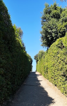 green tree