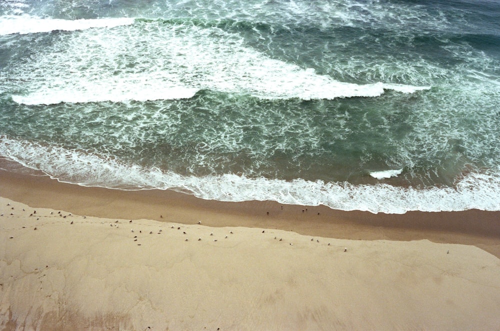 vista panorâmica fotografia de linha praia