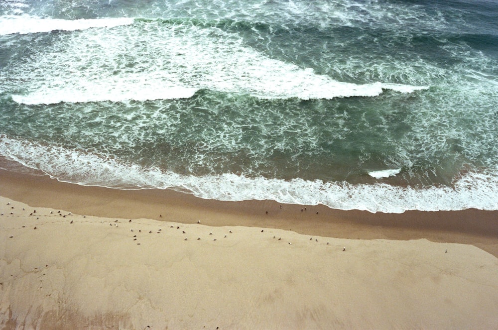 bird's eye view photography of beach line