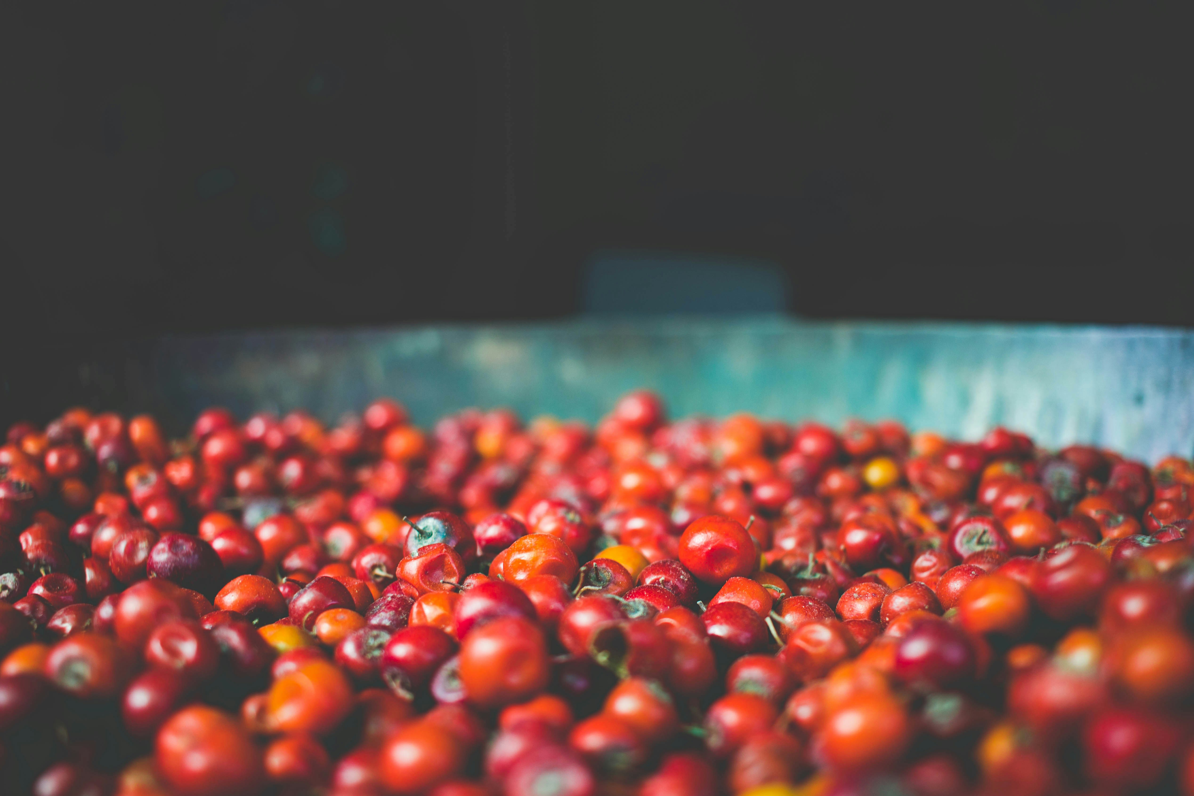 Photo by thefakebhogra