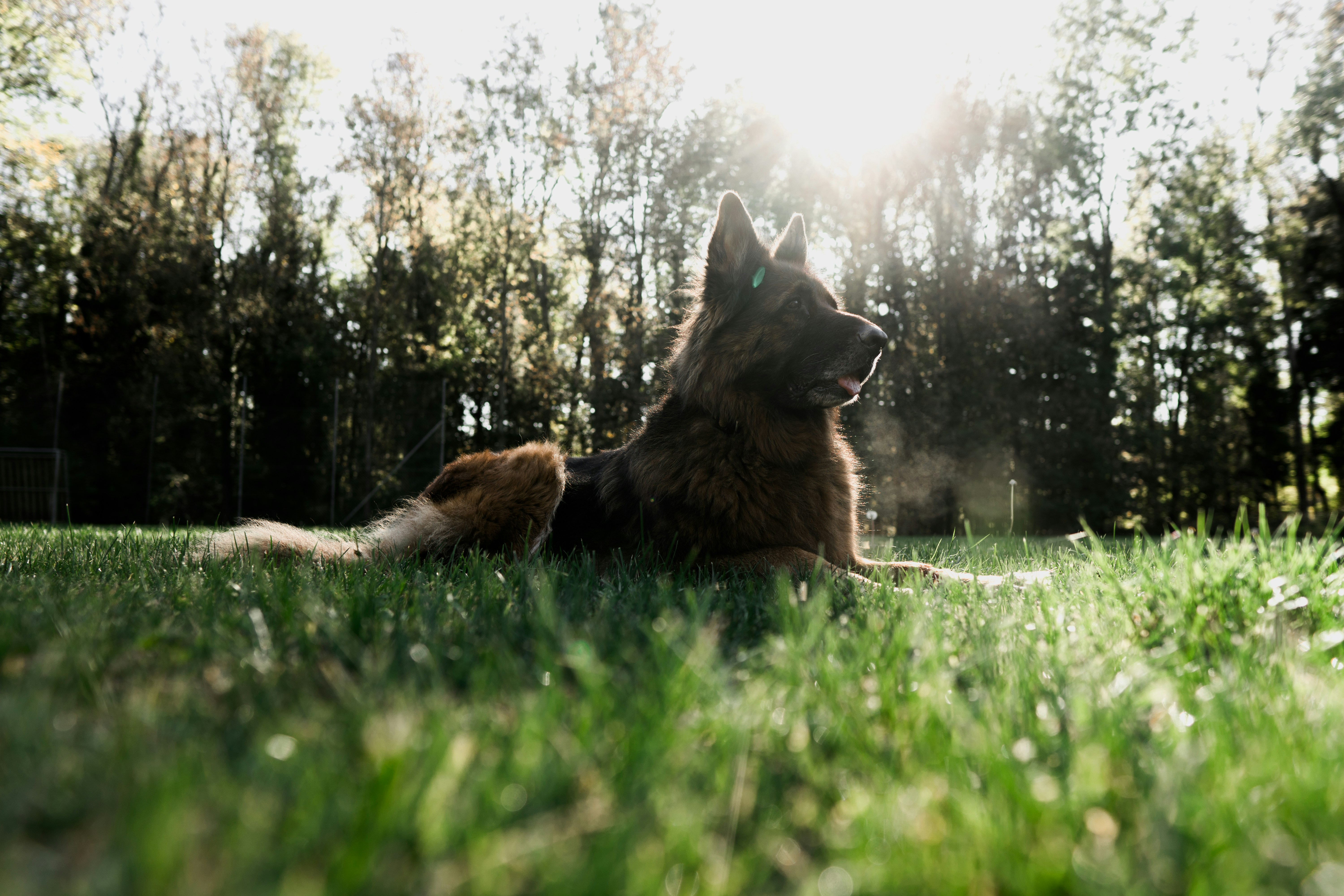 Photo by niclasmoser