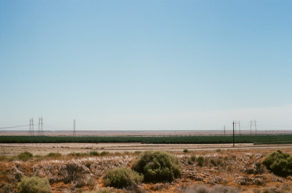 campo de grama vazio