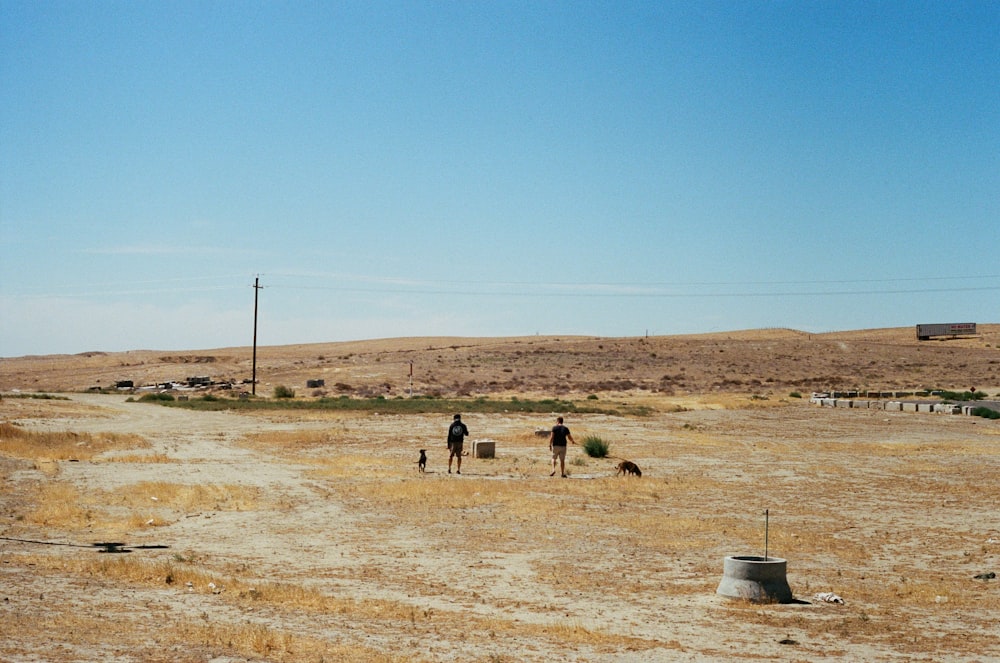 two person standing under blue sky during daytime