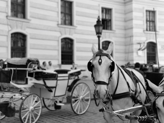 A horse-drawn carriage is prominently featured, with the horse facing the viewer. The carriage is situated in front of a historic building with tall windows and classical architecture. People are faintly visible in the background, seated or standing near the building.
