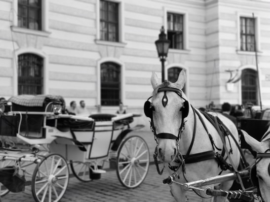 A horse-drawn carriage is prominently featured, with the horse facing the viewer. The carriage is situated in front of a historic building with tall windows and classical architecture. People are faintly visible in the background, seated or standing near the building.