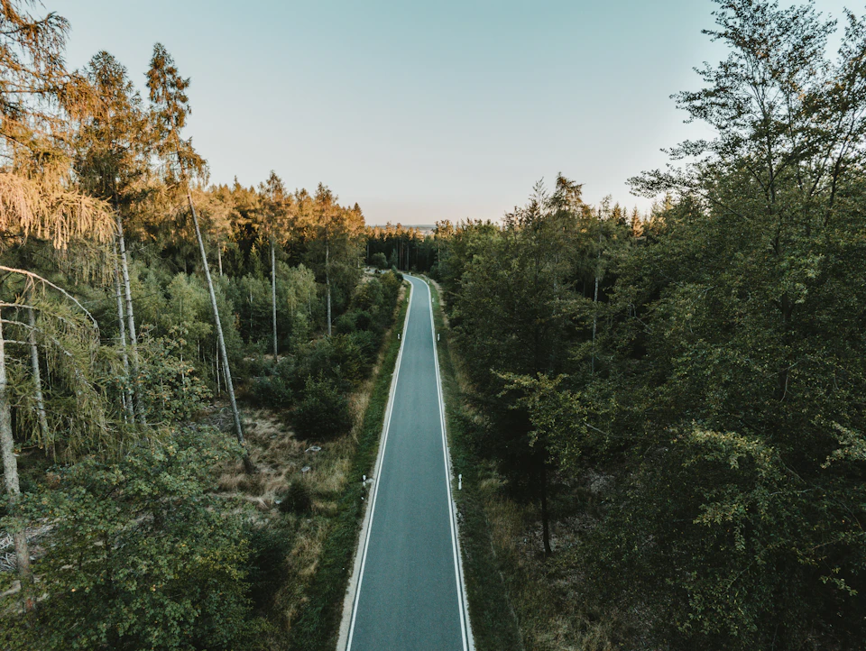 Two-lane road winds through dense forest under clear blue sky with scattered clouds