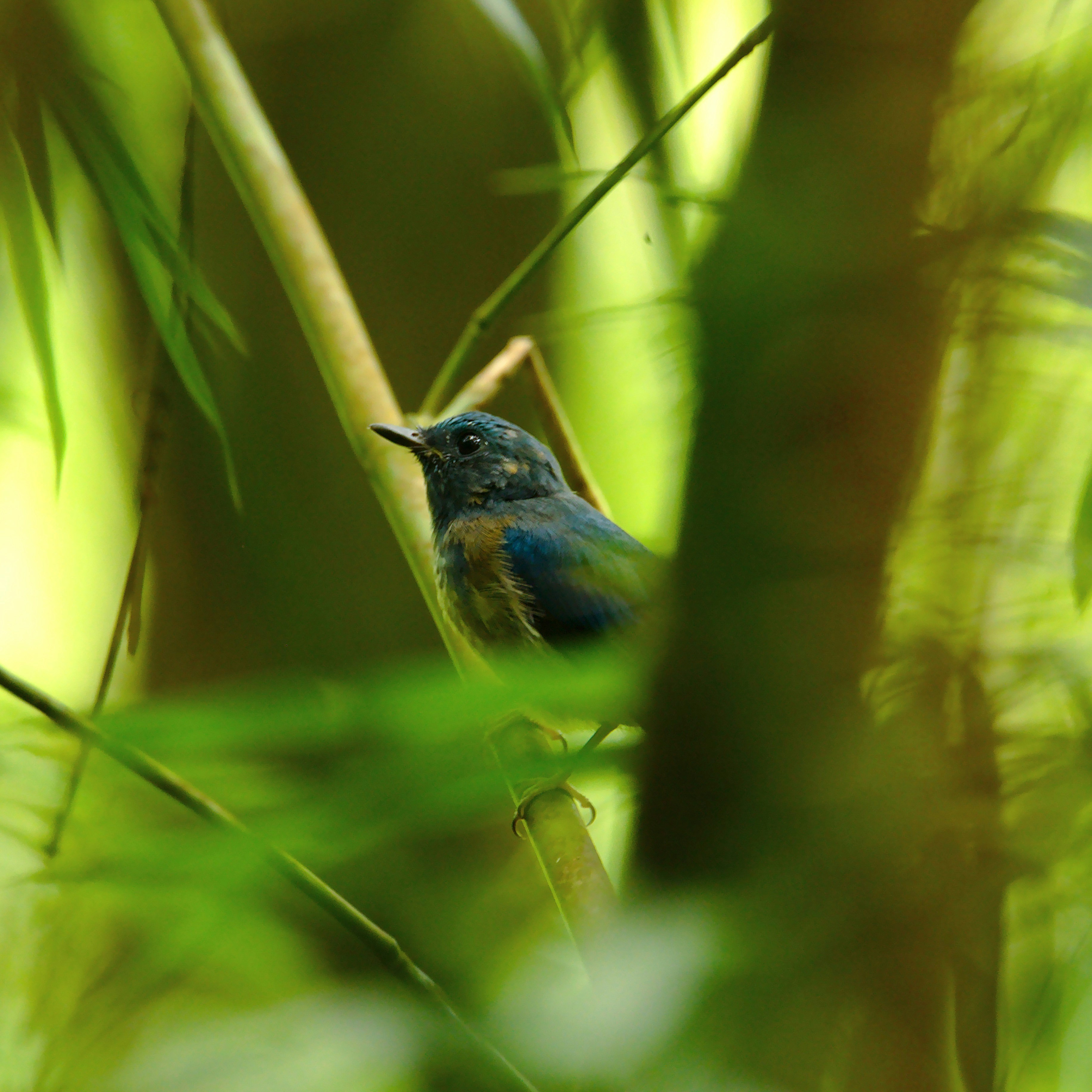 Photo by drfranksunlong