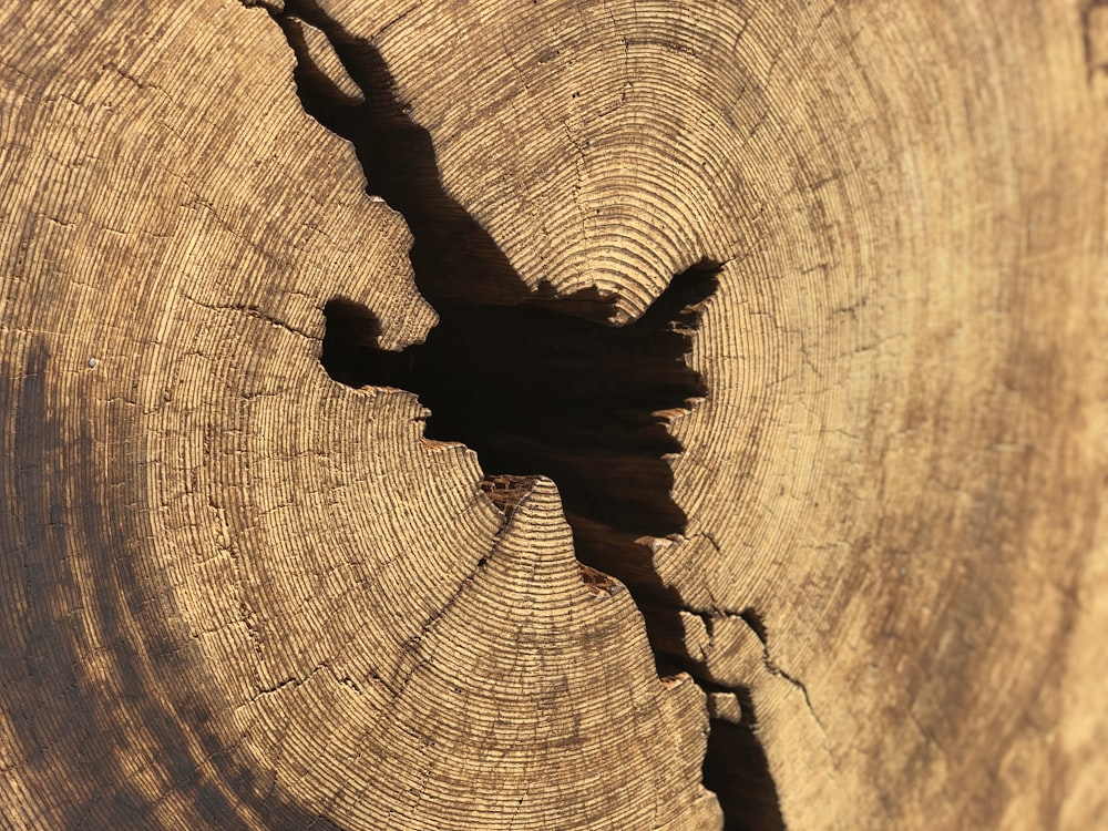 a piece of wood that has been cut in half