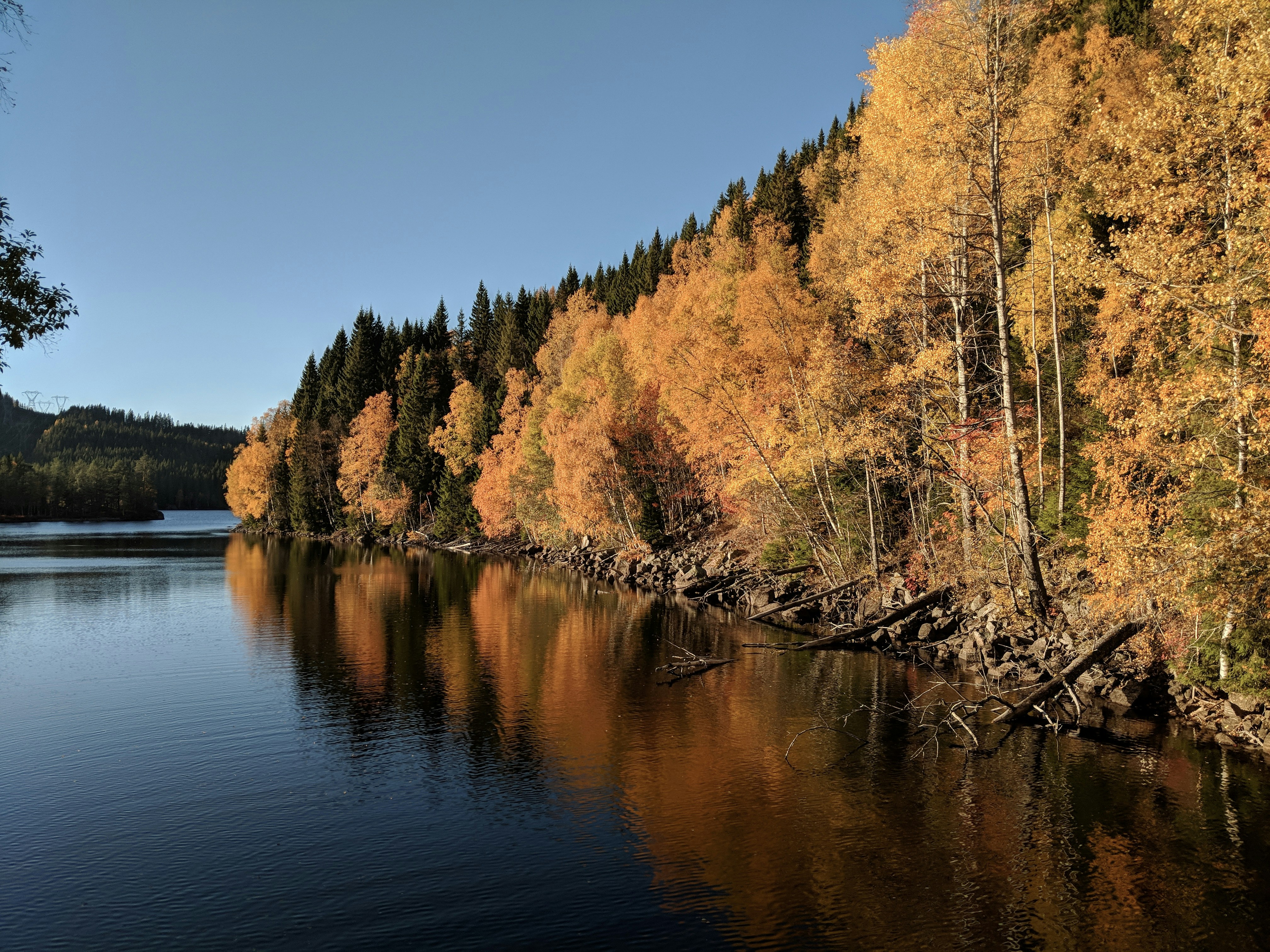 Photo by christergundersen