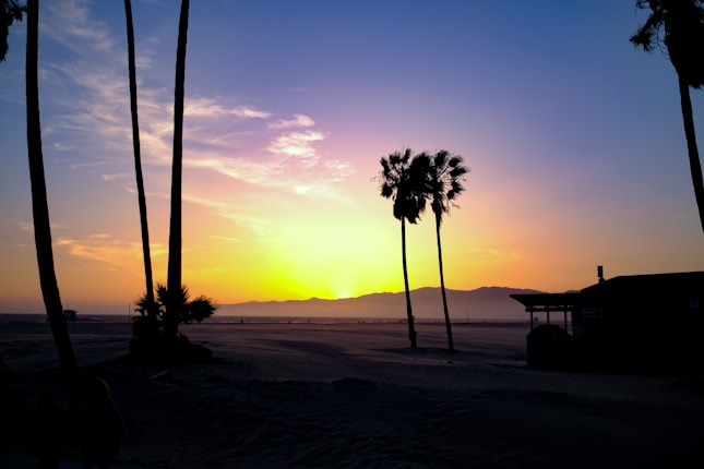 Tall palm trees are silhouetted against a vibrant sunset with hues of pink, orange, and purple spreading across the sky. The beach landscape stretches out towards distant mountains, and a small structure is visible on the right.
