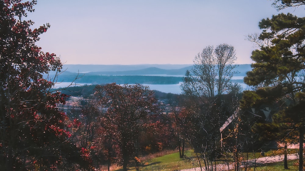 a scenic view of a lake and mountains in the distance