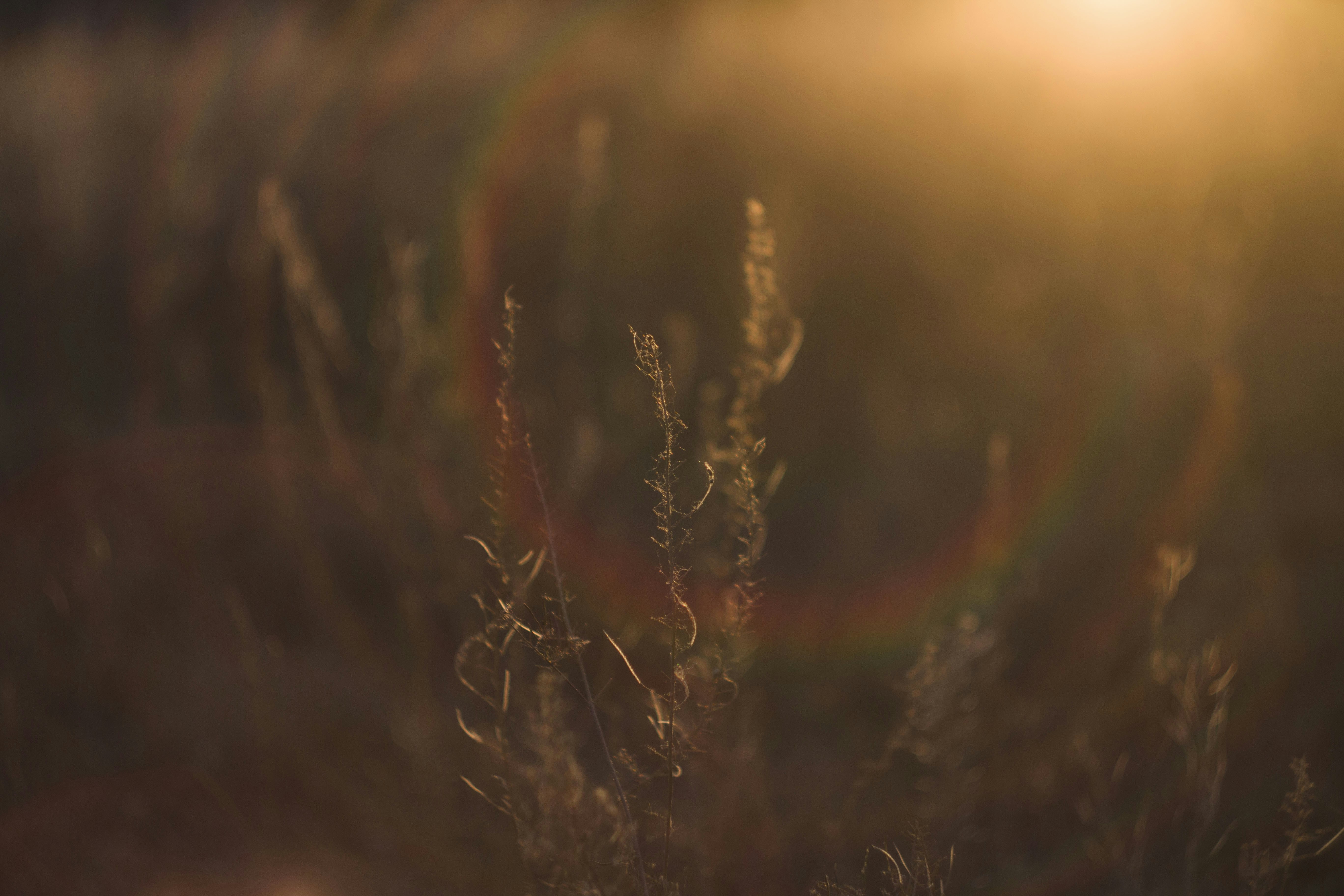 Photo by alsuocto