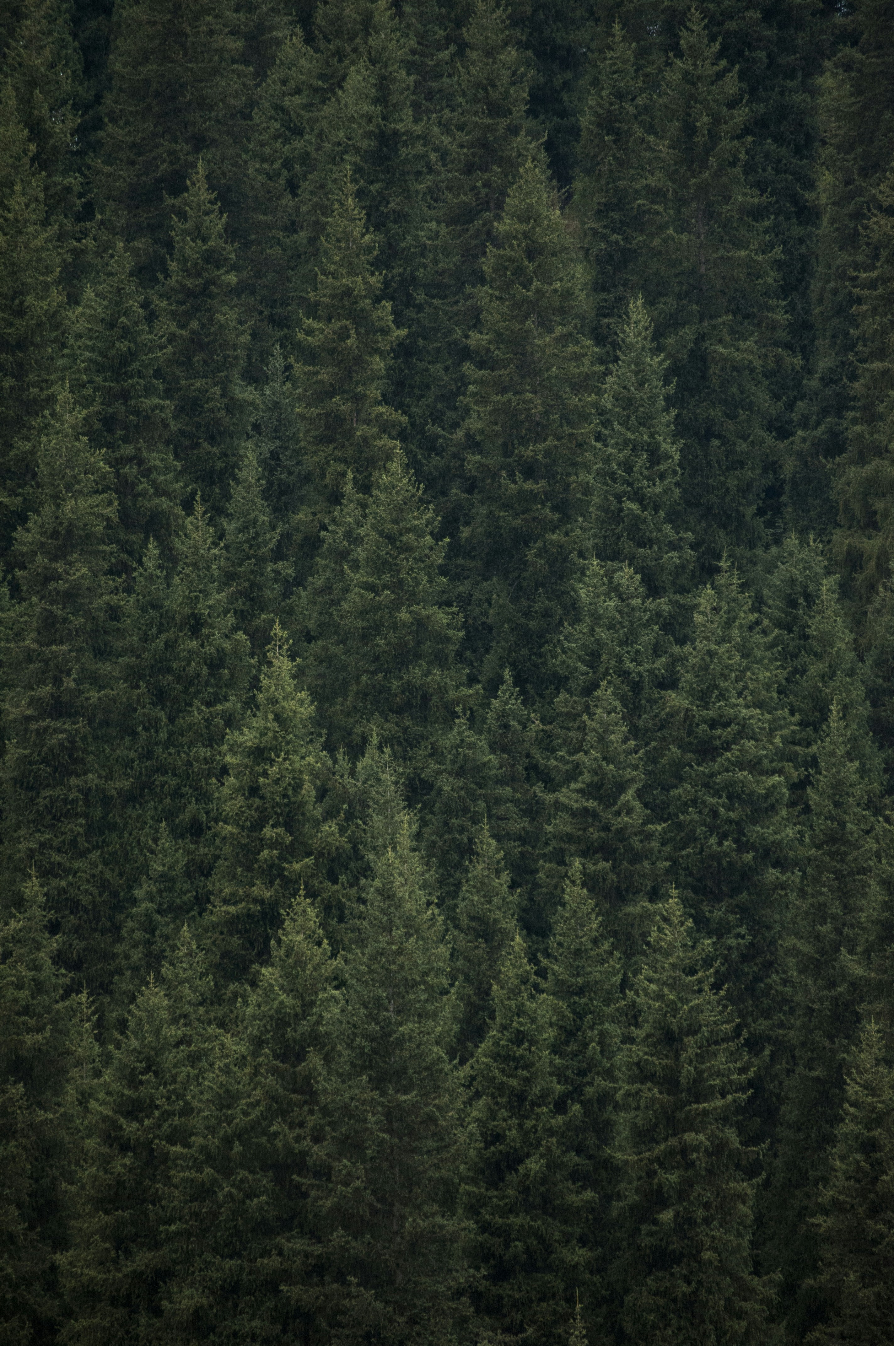 Photo by yuli_superson