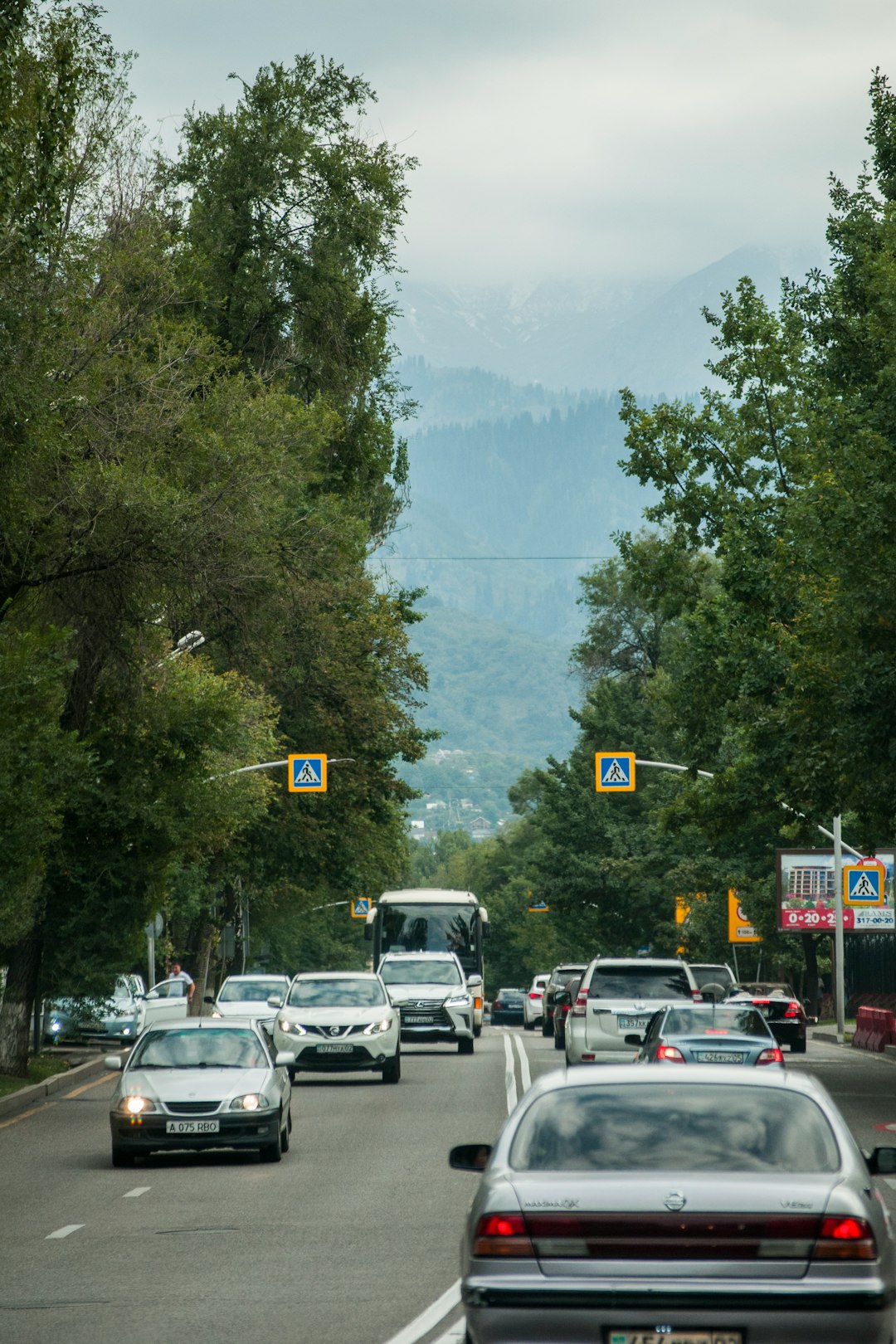 vehicles on road at daytime