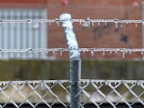 A metal fence and barbed wire are covered with icicles and frost, indicating a cold weather environment. The background includes a blurry brick wall, adding to the urban setting.