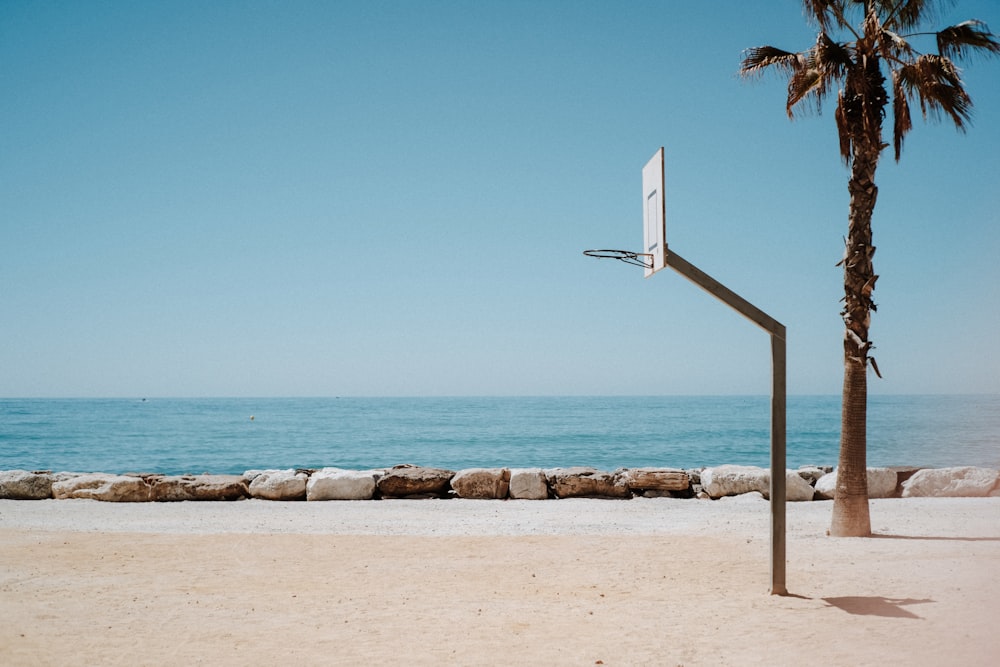 basketball hoop system near palm tree on shore