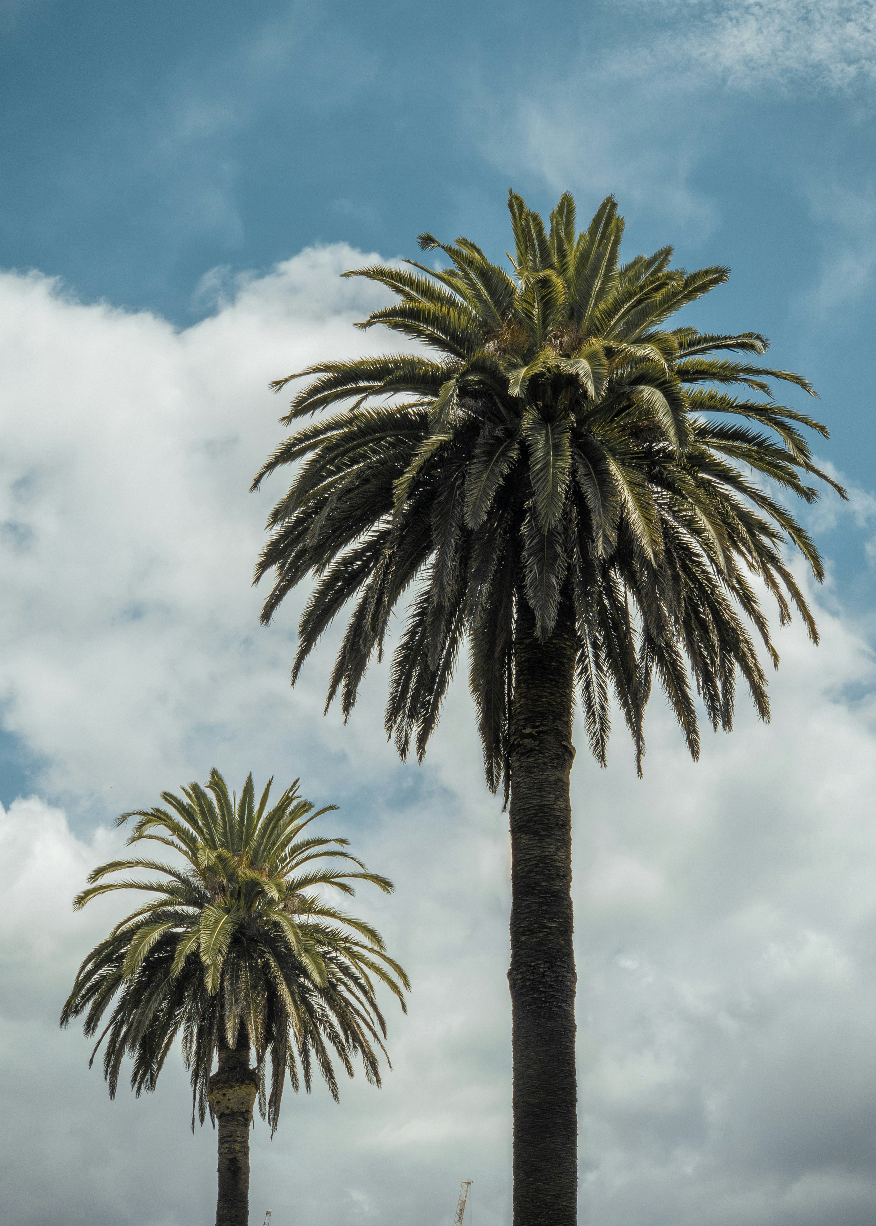 Photo by anoojfunaid