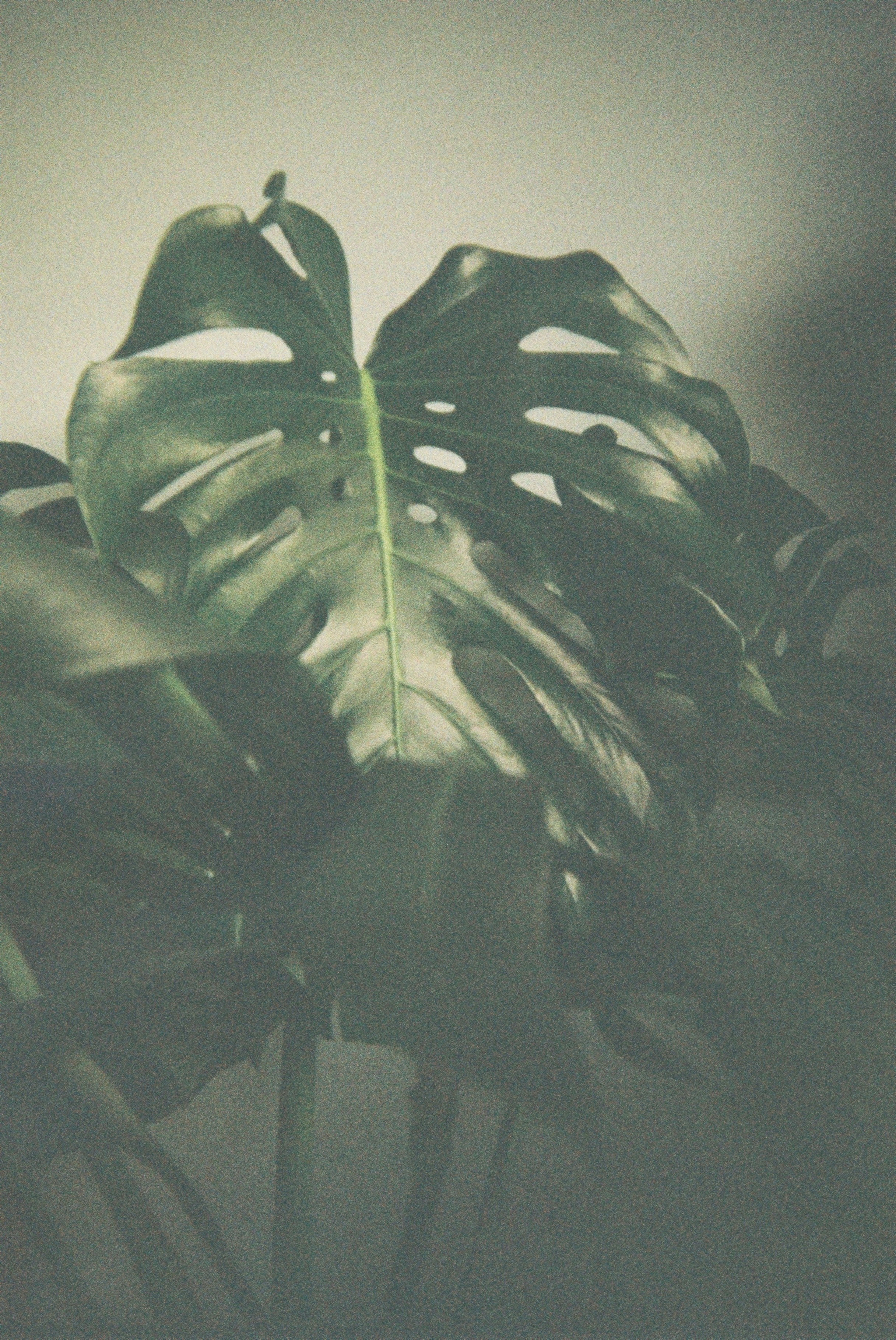 Photo by snappedbykayla