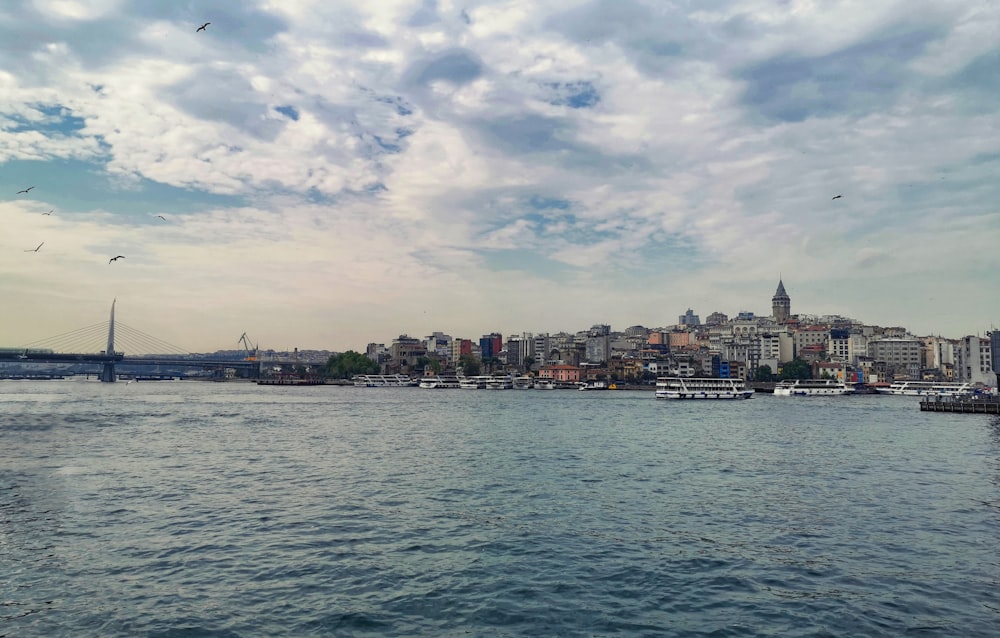 photography of building near sea