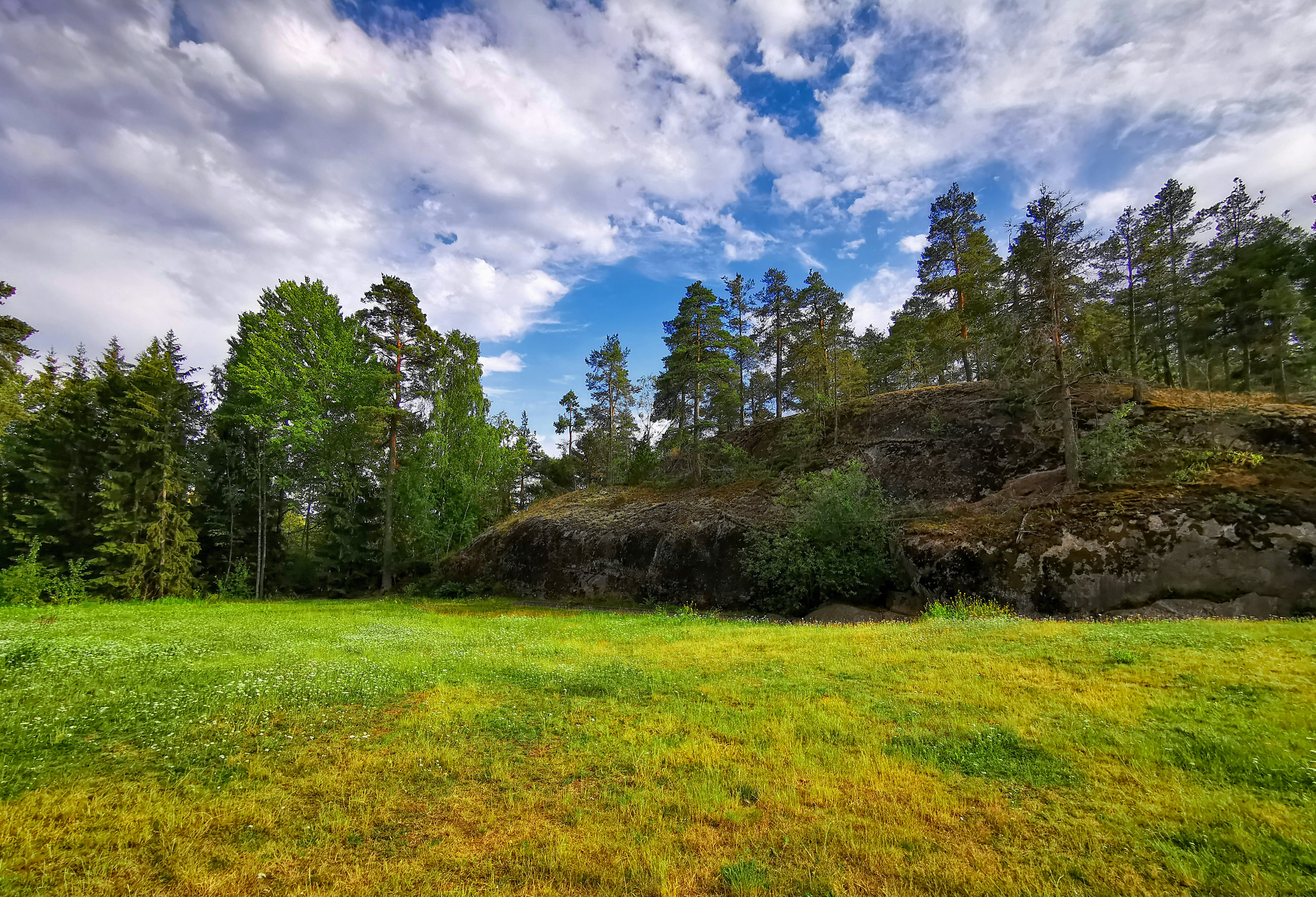 Rootsi lõvi