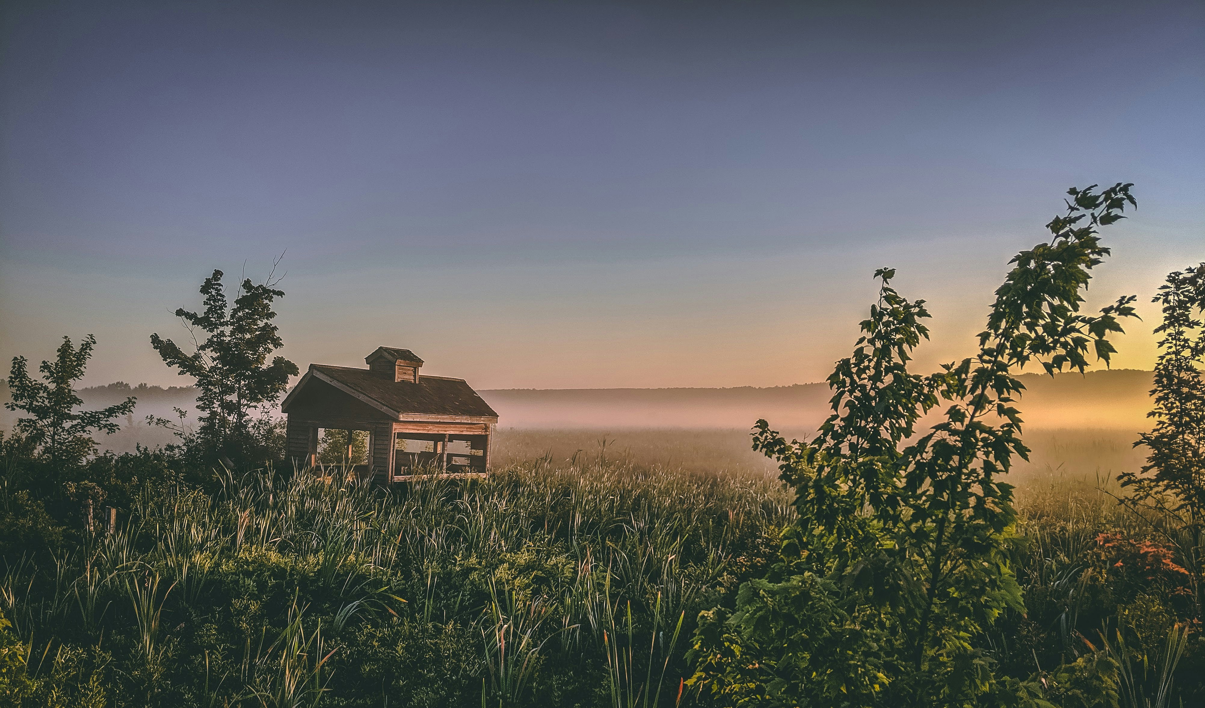 Photo by tocsonimage