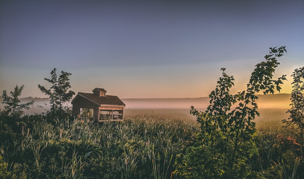 brown wooden house on field