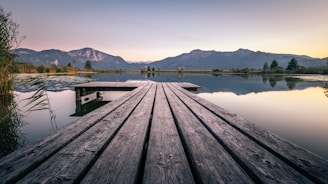 black wooden dock