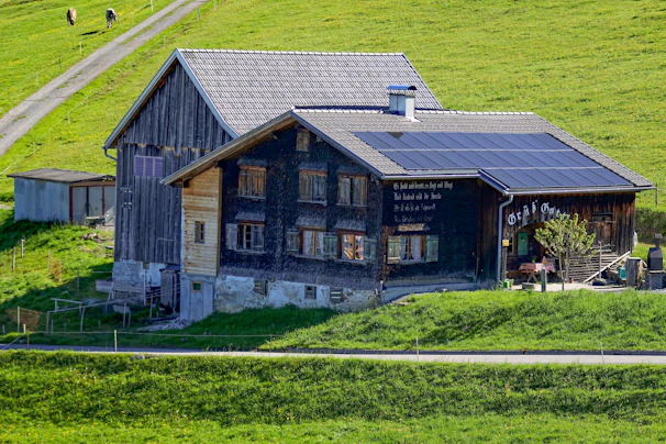 A rustic, two-story farmhouse with a weathered wood exterior and a sloped roof stands amid a vibrant green landscape. Solar panels cover part of the roof, and there are some decorations, including signs or script on the walls. In the background, cows graze along a dirt path that winds through the lush fields.
