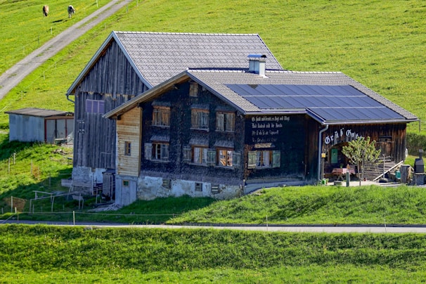 A rustic, two-story farmhouse with a weathered wood exterior and a sloped roof stands amid a vibrant green landscape. Solar panels cover part of the roof, and there are some decorations, including signs or script on the walls. In the background, cows graze along a dirt path that winds through the lush fields.