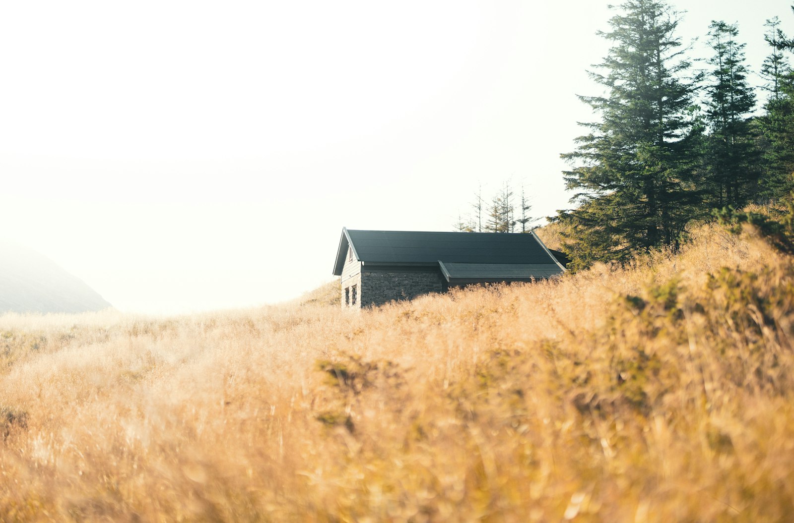 Canon EOS R + Canon RF 50mm F1.2L USM sample photo. Cabin near forest photography