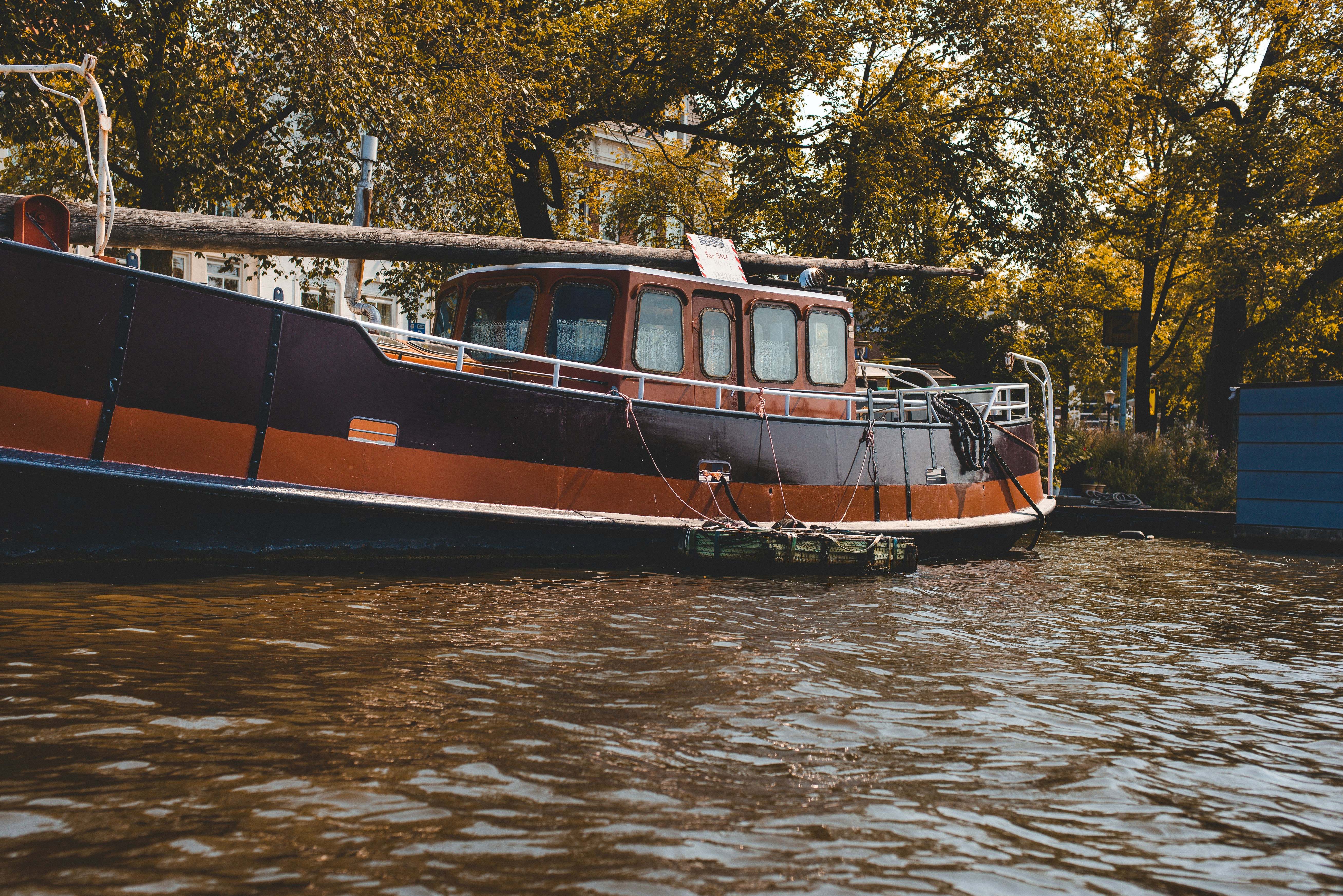 Naturaleza por los canales de Ámsterdam.