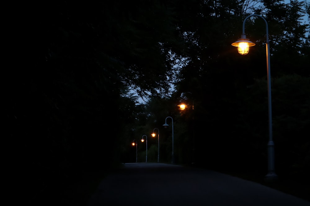 turned-on street lamps