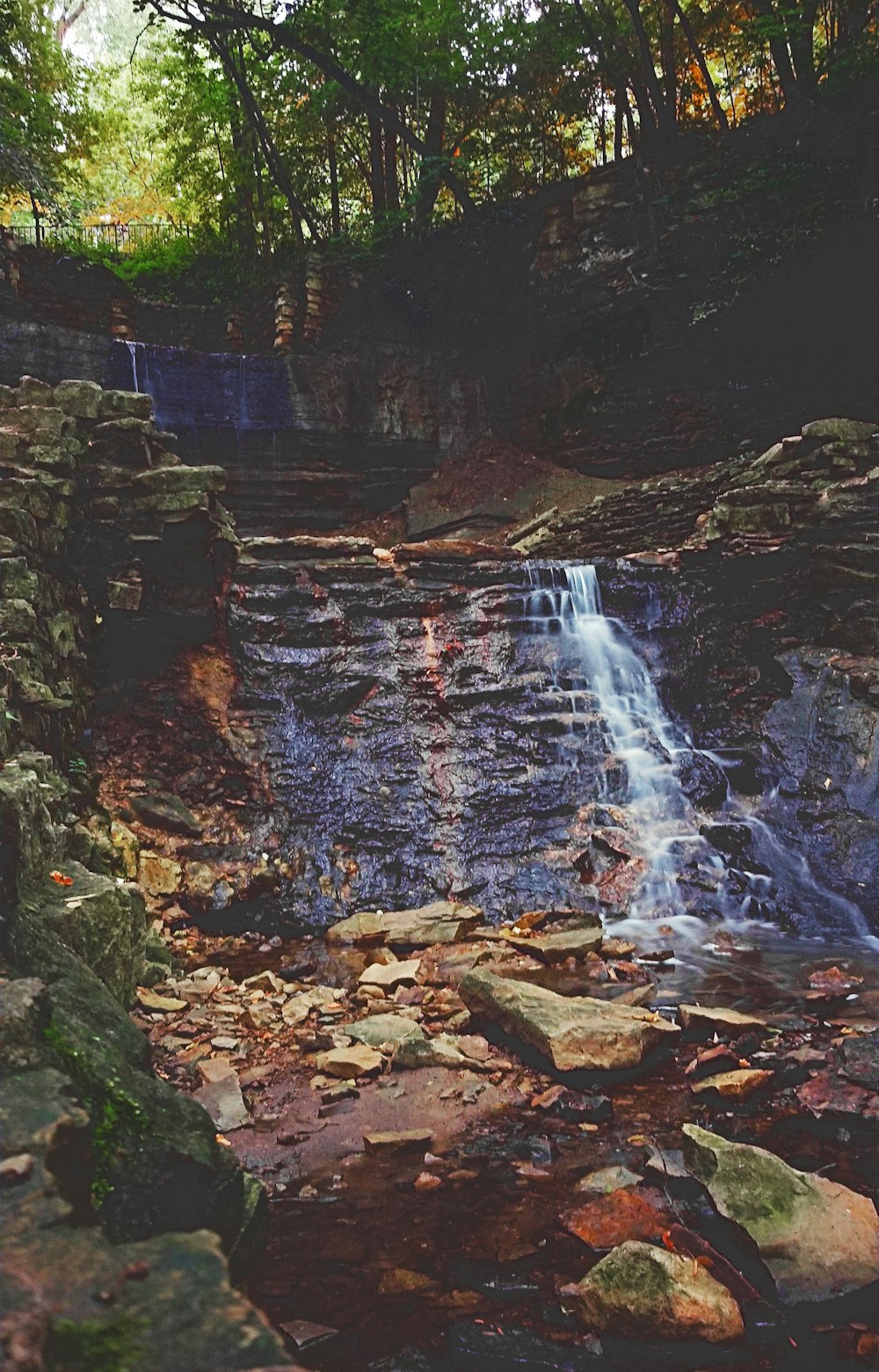 water falls surrounded by trees