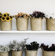 flowers on baskets