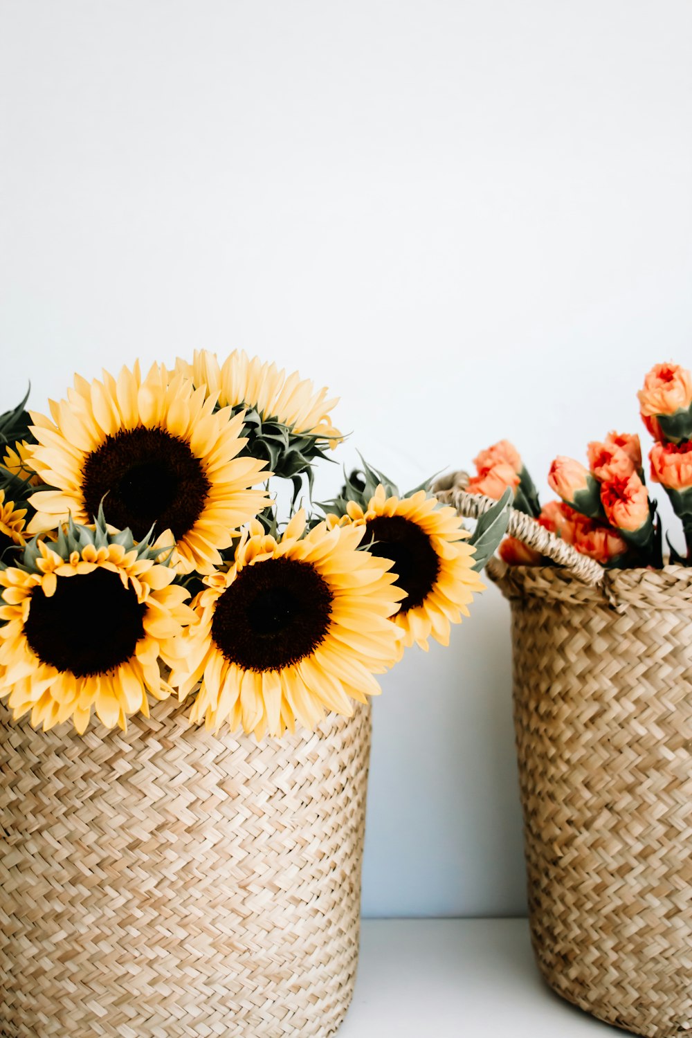 yellow sunflowers