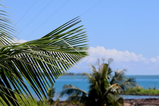 Stories legends samoan mythology