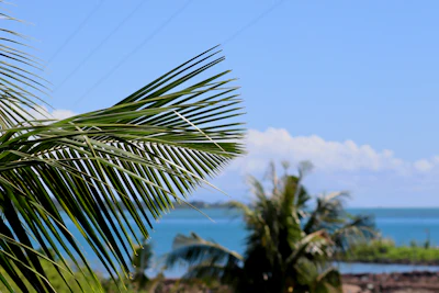 Apia, Samoa