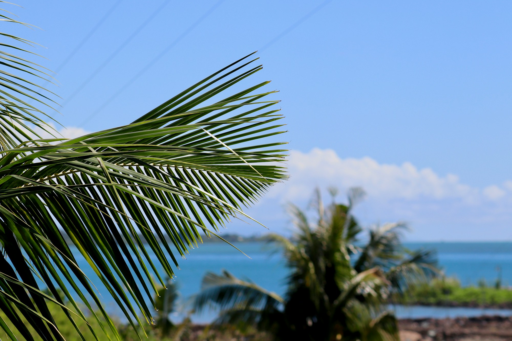 Explore Apia: A Concise Guide to Samoa's Capital City